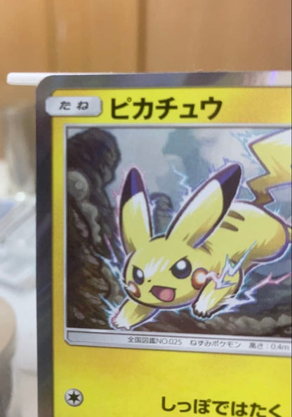 Pokemon Card Pikachu Summer Festival 2017 Promo 108/SM-P Japan Import in protective packaging