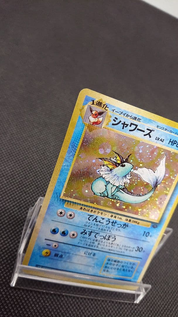 Pokemon Card Collection featuring old card back designs from Japan import displayed in a fan layout