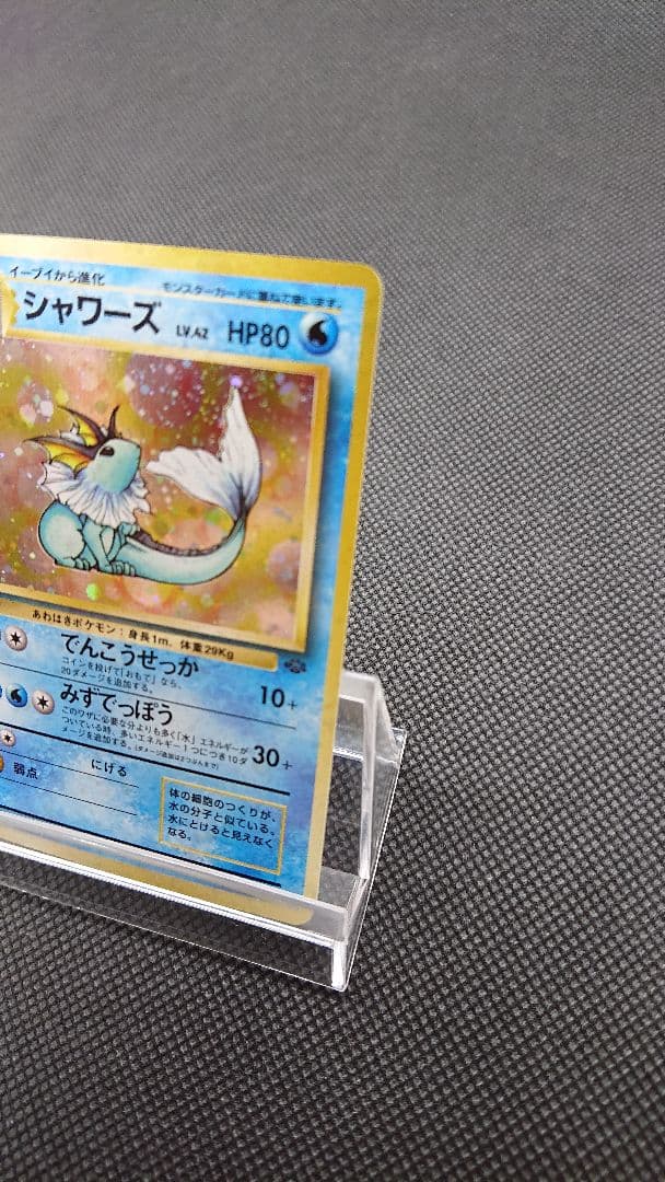Pokemon Card Collection featuring old card back designs from Japan import displayed in a fan layout