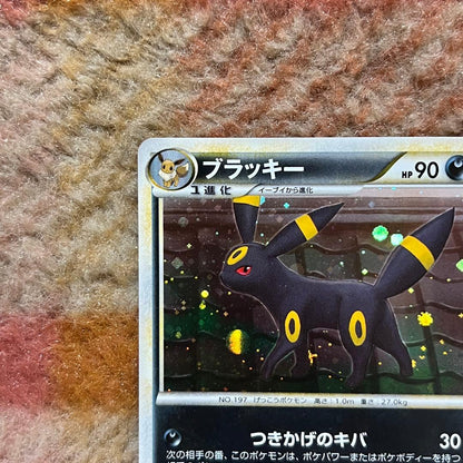 Bandai Blacky 037/080 collectible card from Rebirth of Legends L2 with rare shiny effect Japanese import