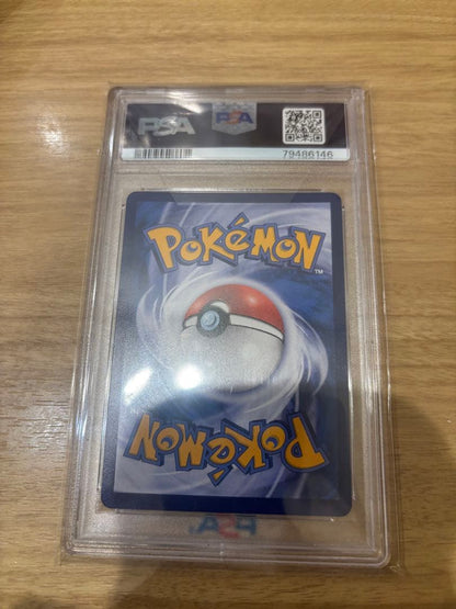 Gambare Lillie Chinese PSA8 product front view with Japanese description and greeting