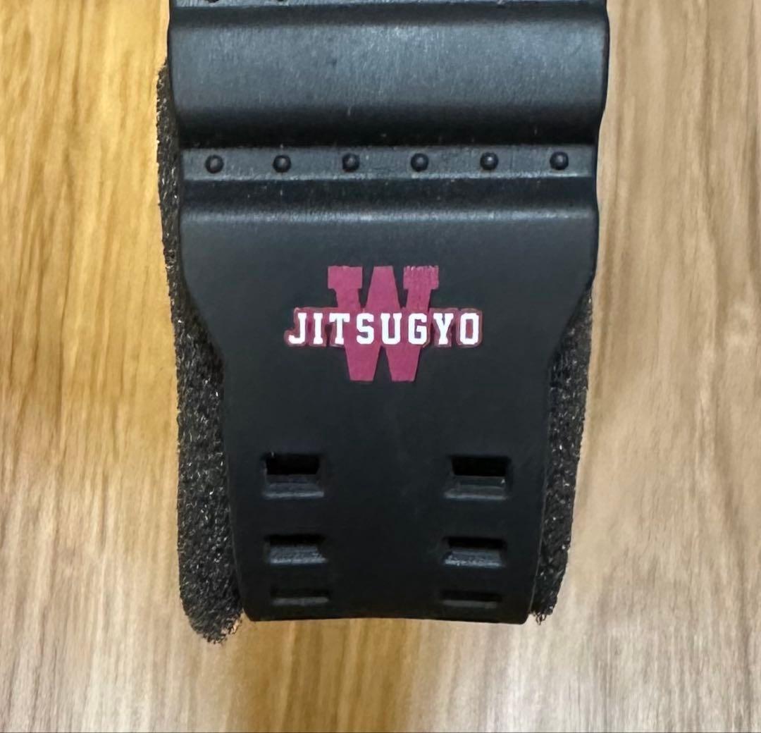 Casio G-Shock GA-110 Waseda University Affiliated School Model Watch — Japan Import