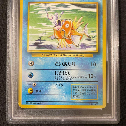 Pokemon PSA8 First Edition Magikarp No Mark old card from Japan, 2 x 3.5 in, authentic collector's item