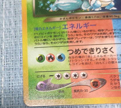 Bandai Pokémon Dream Team Charizard Blastoise Venusaur single card in protective hard case with holo finish