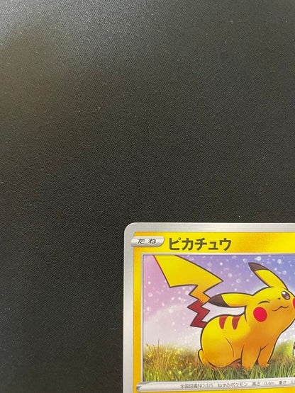 Pokemon Pikachu Promo Card Pack Series 1 S-P Model from Japan in protective sleeve