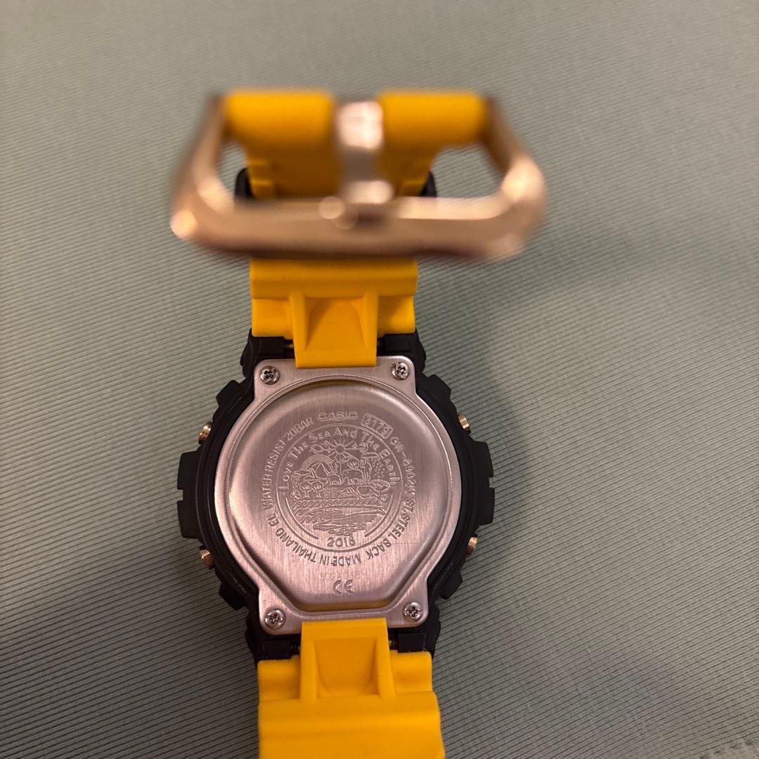 Casio G-Shock Dolphin Whale Collaboration Model GW-6902K-9JR
