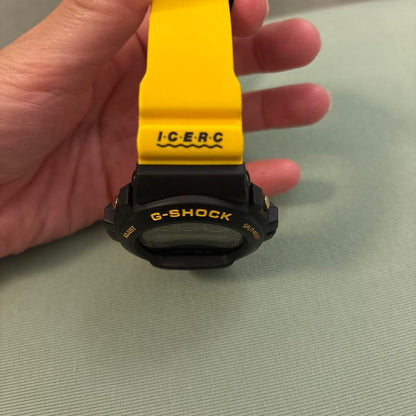 Casio G-Shock Dolphin Whale Collaboration Model GW-6902K-9JR