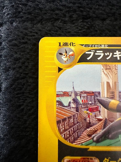Pokemon Black Kyurem promo card from McDonald's e Series, model 025/P, rare collectible card in a protective sleeve