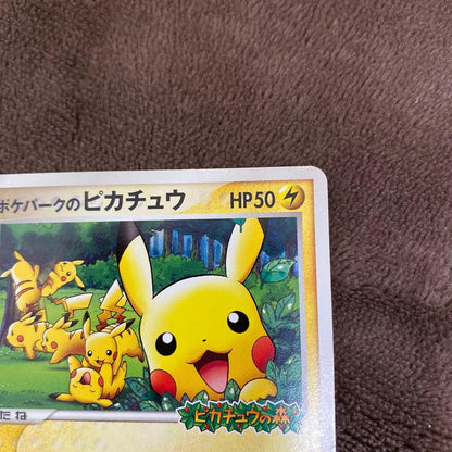 Promo Pikachu Pokemon Card from Poké Park with ID 043/PCG-P Japan Import in good condition