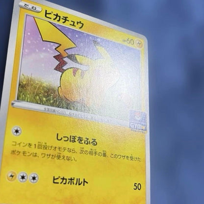 Sony Sword & Shield Promo Card Series S-P Model 024/S-P Japan import with minor signs of use