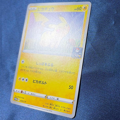 Sony Sword & Shield Promo Card Series S-P Model 024/S-P Japan import with minor signs of use