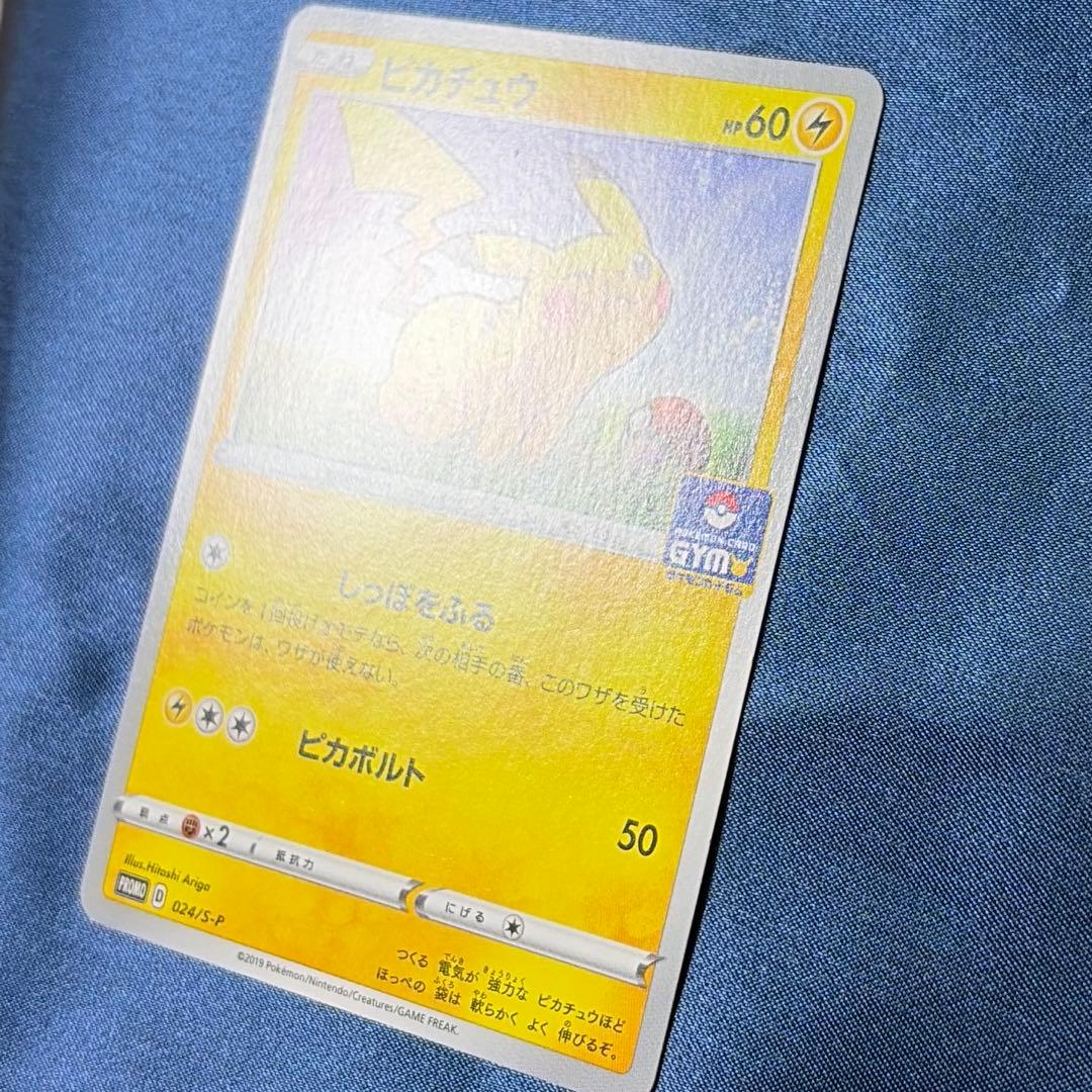 Sony Sword & Shield Promo Card Series S-P Model 024/S-P Japan import with minor signs of use