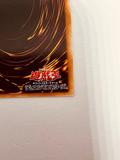 Yugioh The Witch of the Black Forest Level 7 Darkness monster card in Japanese with clean condition