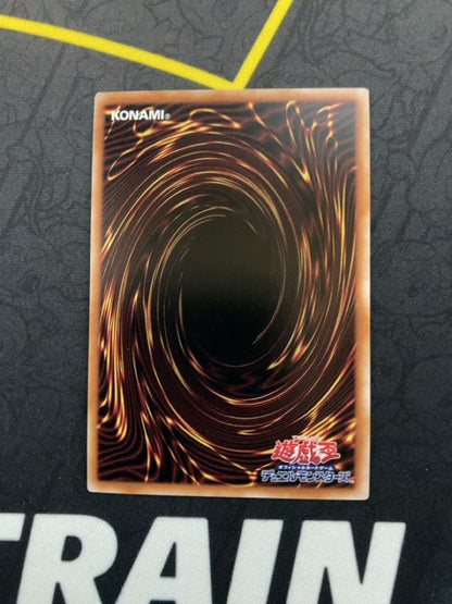 Yu-Gi-Oh 25th Red-Eyes Black Dragon Holo Variant Card QCCP-JP108 with holographic design from Japan