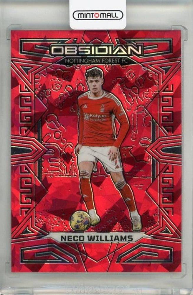 2023-24 Panini Obsidian Neco Williams Electric Etch Red Crystals trading card serial number 10625 of 30