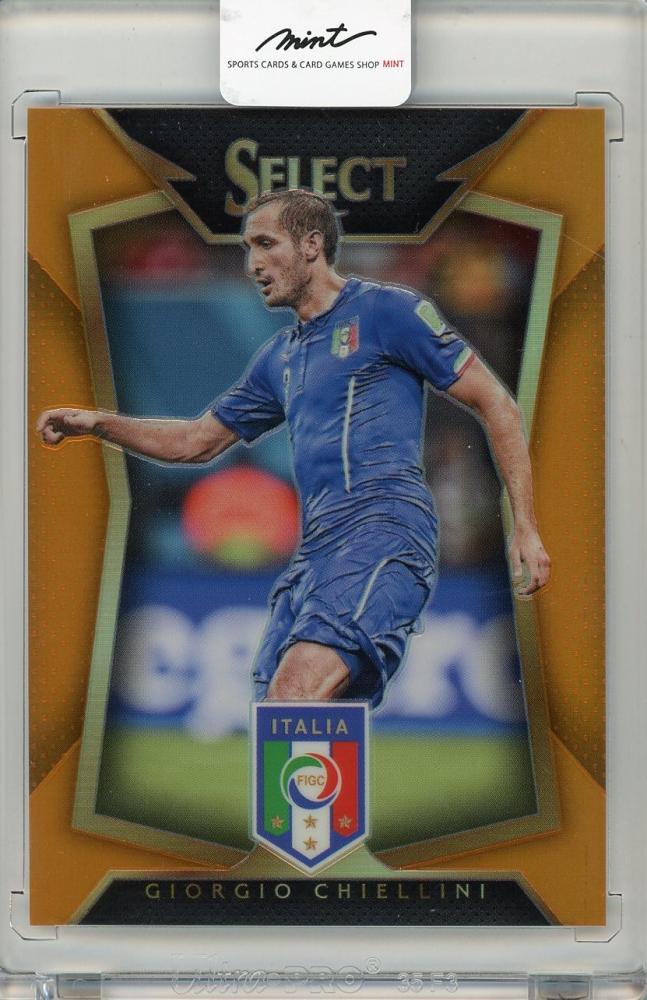 2015-16 Panini Select Giorgio Chiellini #48069/149 Italia trading card used condition