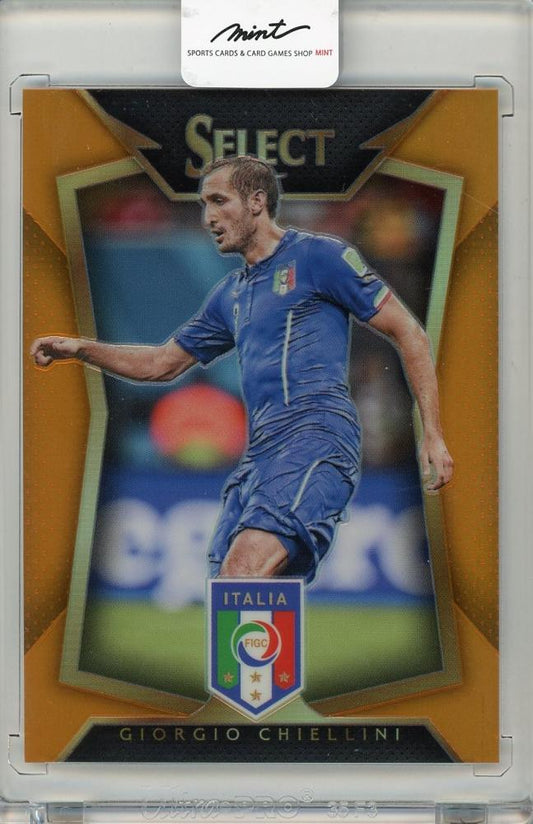 2015-16 Panini Select Giorgio Chiellini #48069/149 Italia trading card used condition