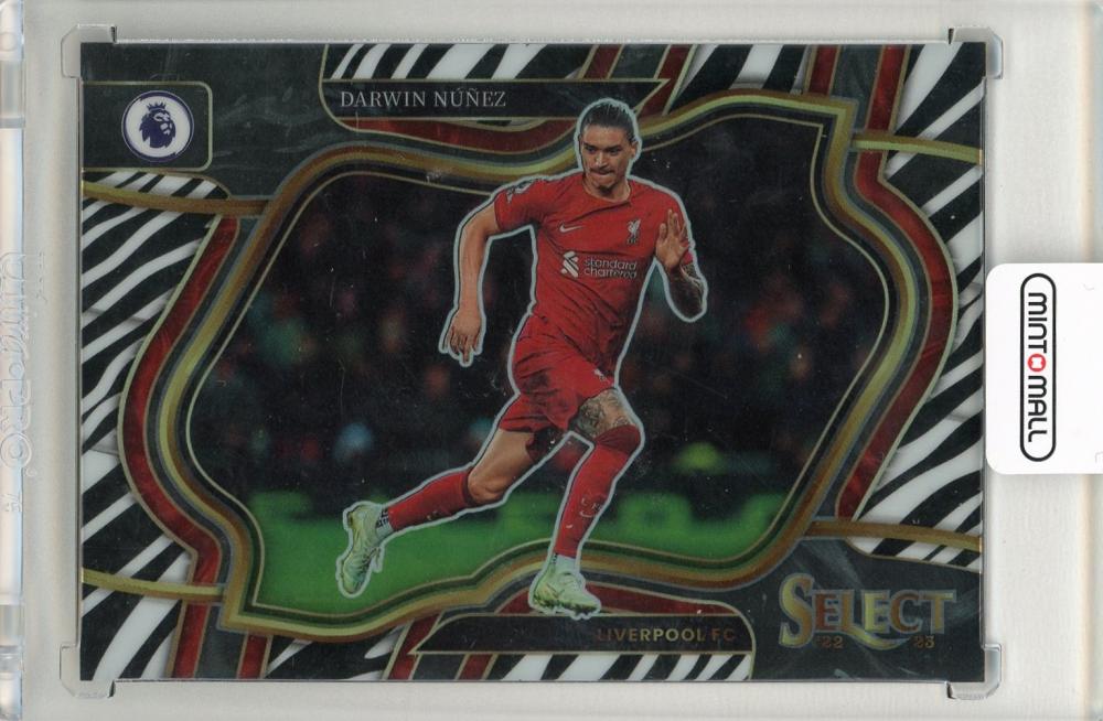 2022-23 Panini Select Premier League Darwin Nunez Zebra pattern soccer card serial 12/25 Liverpool FC