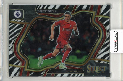 2022-23 Panini Select Premier League Darwin Nunez Zebra pattern soccer card serial 12/25 Liverpool FC