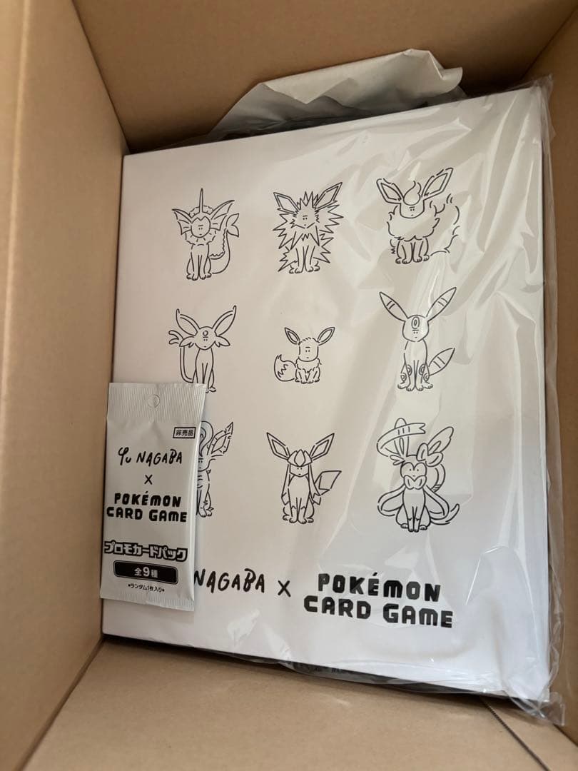 Nagaba Yu Pokemon Collection File with Eevee evolutions illustrations and unopened promo card Japan import