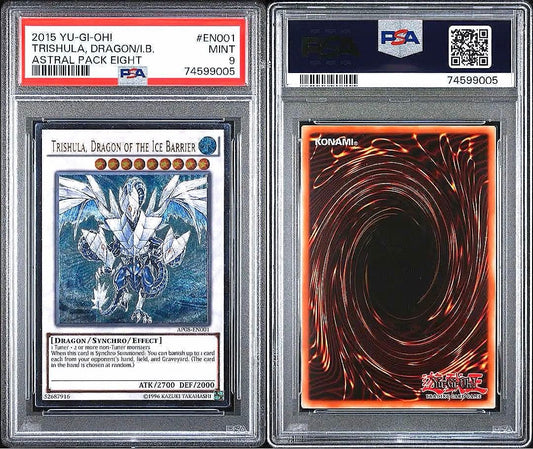 Tsunami Relief PSA9 Japanese single card stored in a humidifier cabinet, used condition