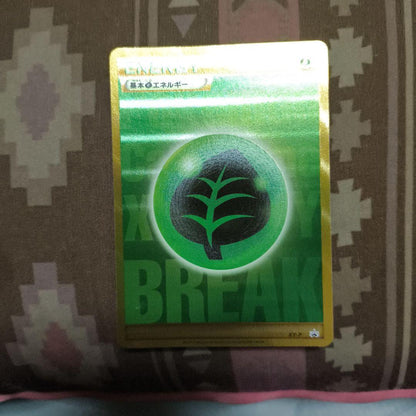 Pokemon Card Game XY Golden Present Campaign Winner Promo Basic Grass Energy XY-P UR Japanese