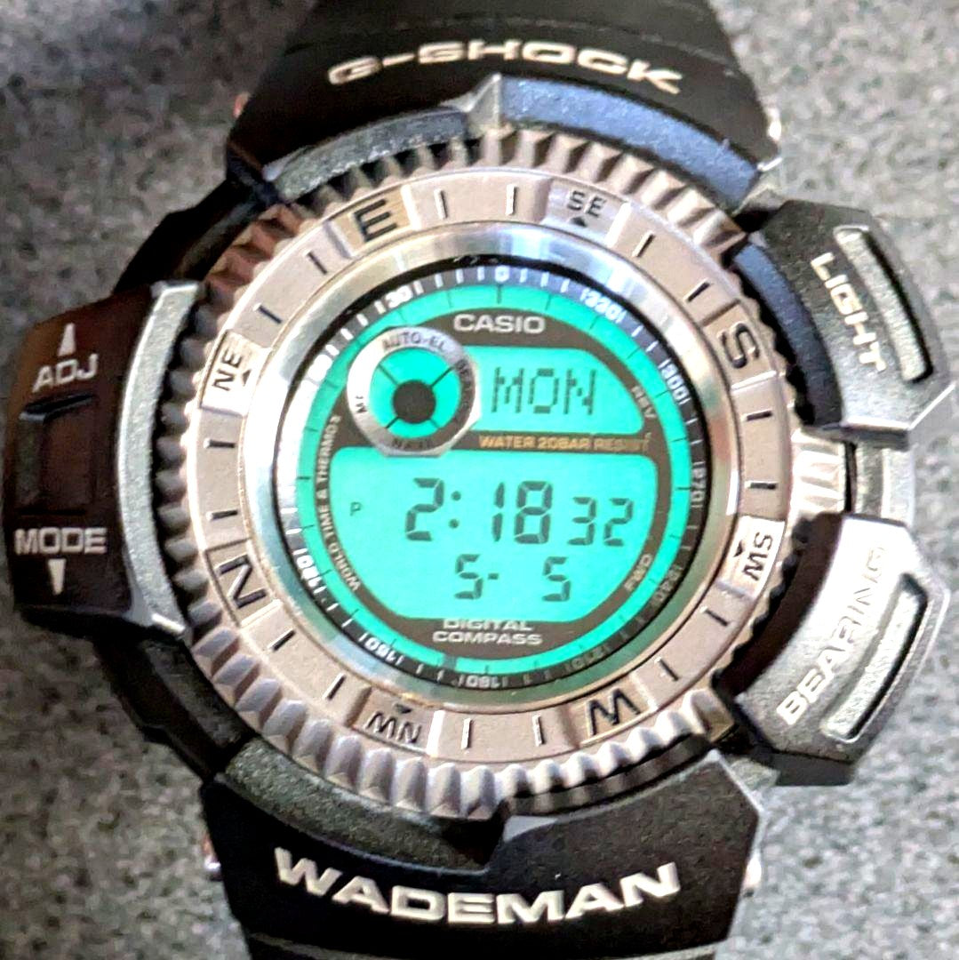 Casio G-Shock Wademan DW9800 digital watch showing compass and temperature features