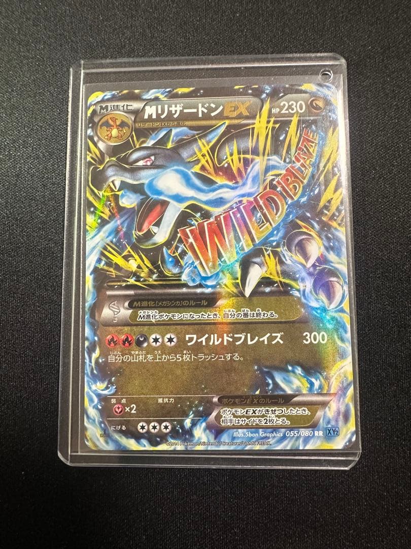 Bandai Pokemon Card Game XY2 Wild Blaze Charizard EX RR 055/080 Japan Import card in protective sleeve