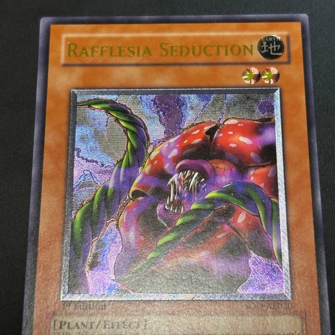 Yugioh Confusion of Lafresia Relief card Old Asia region Japan import with protective packaging