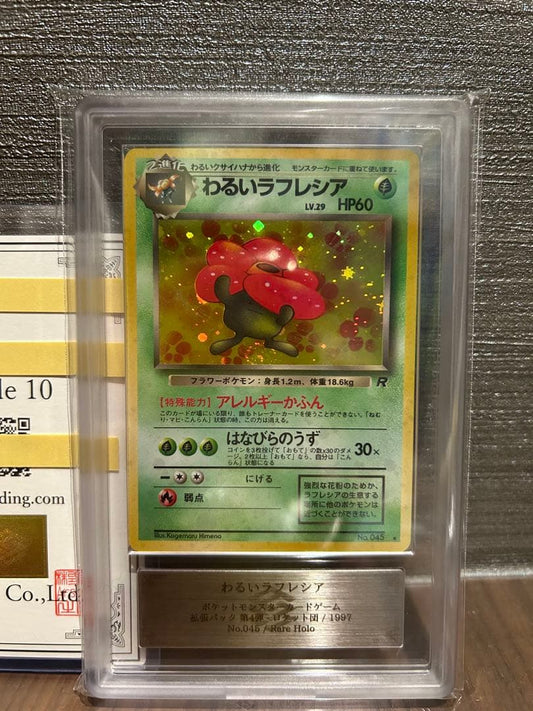 Nihon Card Corporation Warlord Shephard Pokémon card with old back and authentication document