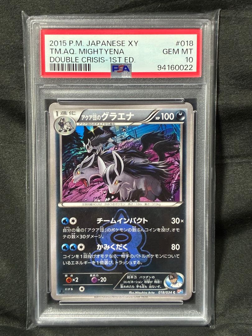 Pokemon PSA10 Gyarados Aquaman 2015 018 9 graded card Japan import with water protection