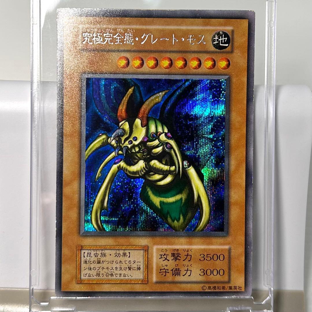 Great Moss DM2 Initial Secret card by Cycle Collection – Japanese collectible card stored in a dark place