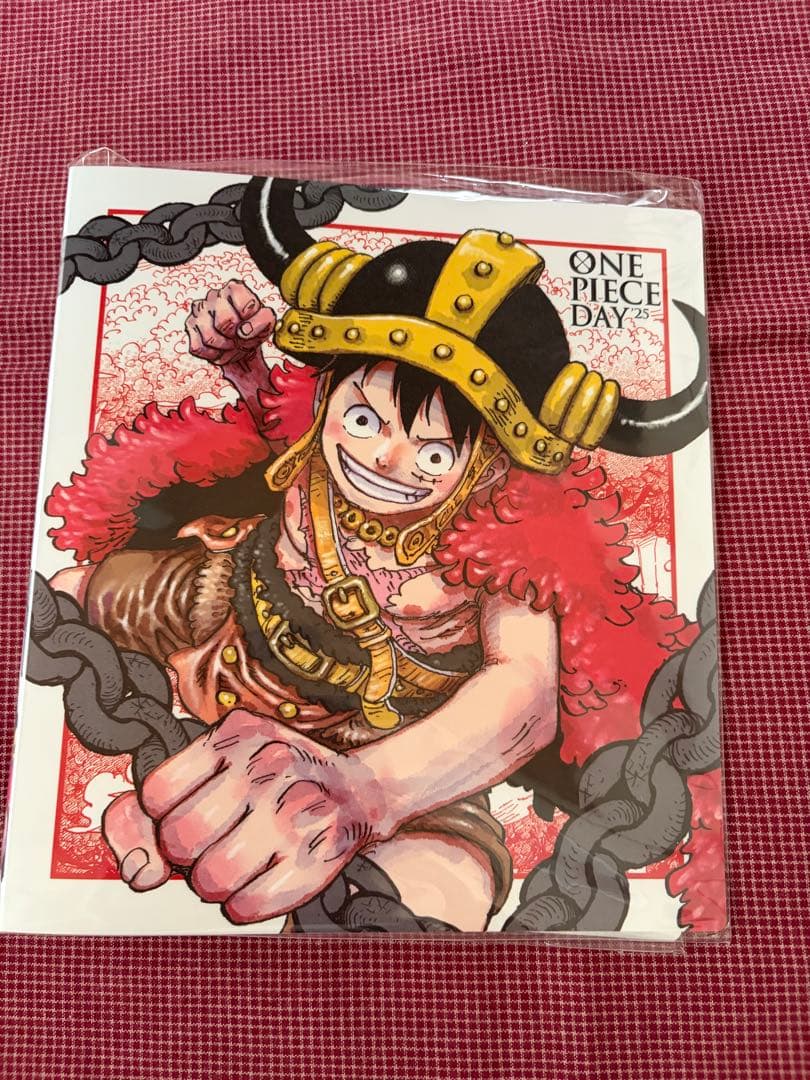 Unofficial One Piece Day 2025 cardholder featuring Ebuff Luffy design with 64 card capacity