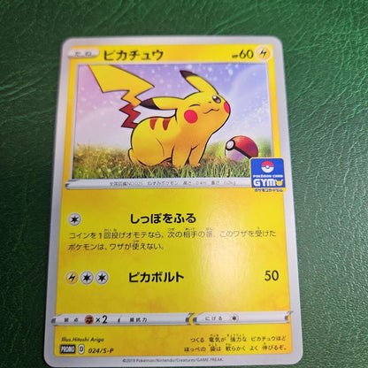 Pokemon Center Pikachu Gym Promo Card Pack S-P First Release Japan Import promotional collectible