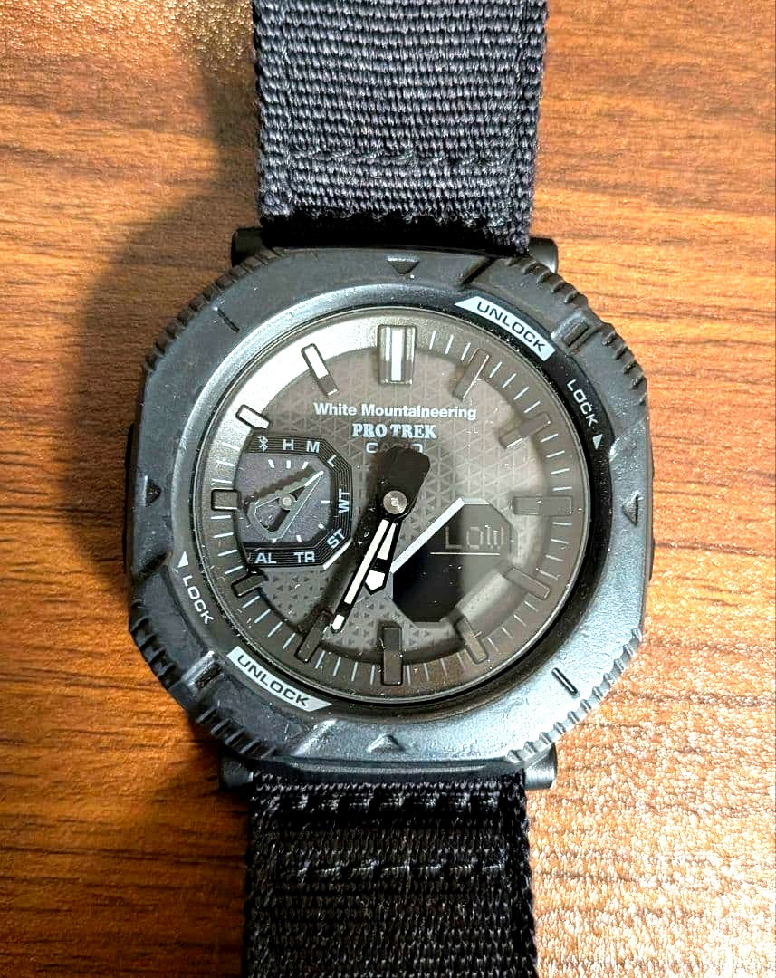 White Mountaineering Pro Trek Casio collaboration watch in excellent used condition with visible dial and strap