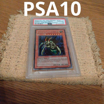 Yugioh PSA10 Complete Ultimate Great Moss Secret Rare card from Japan, graded and in protective case with minor back scratches