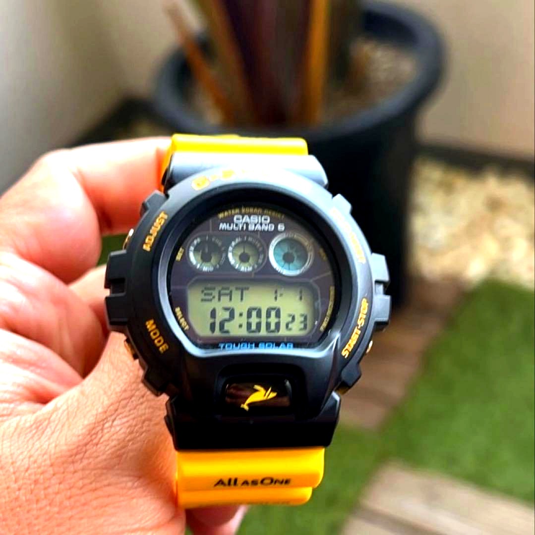 Casio G-Shock Dolphin Whale Collaboration Model GW-6902K-9JR